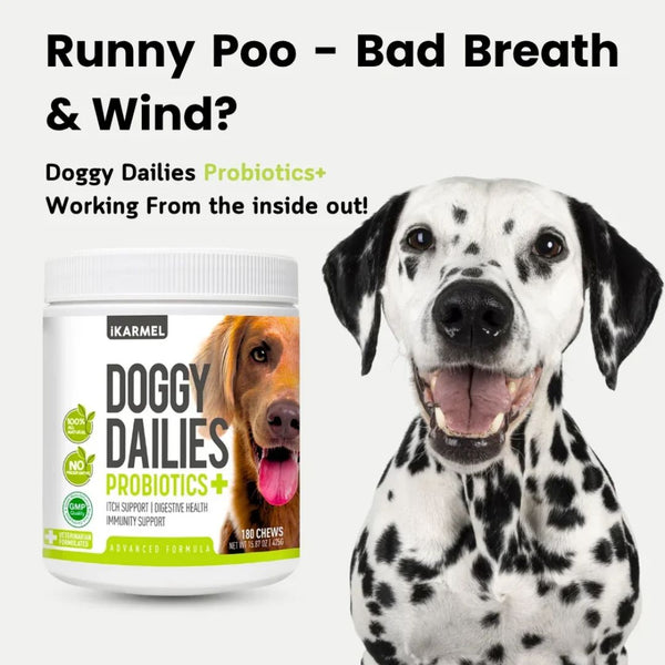 Vet-Recommended Dog Probiotic Chews product detail image