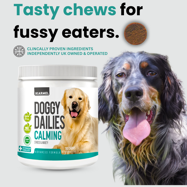 DOG CALMING CHEWS - NATURAL ANXIETY SUPPORT FOR DOGS