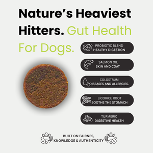 Probiotics for Dogs
