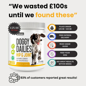 Dog Joint Care & Mobility Chews product detail image