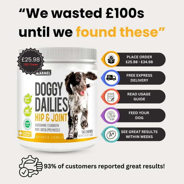 Dog Joint Care & Mobility Chews product detail image