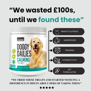 DOG CALMING CHEWS - NATURAL ANXIETY SUPPORT FOR DOGS