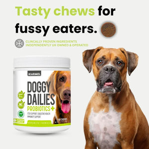 Vet-Recommended Dog Probiotic Chews product detail image