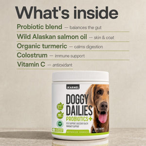 Doggy Dailies Probiotics+ chews jar with what's inside: probiotic blend to balance the gut, wild Alaskan salmon oil for skin and coat, organic turmeric to calm digestion, colostrum for immune support, and vitamin C as an antioxidant