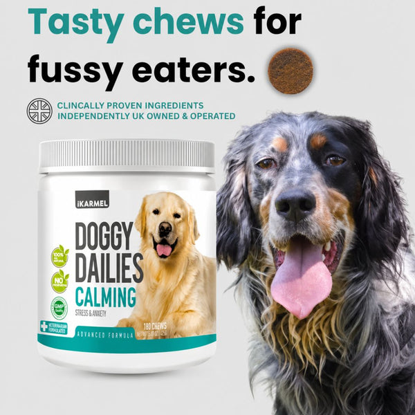 Doggy Dailies Calming Treats product detail image
