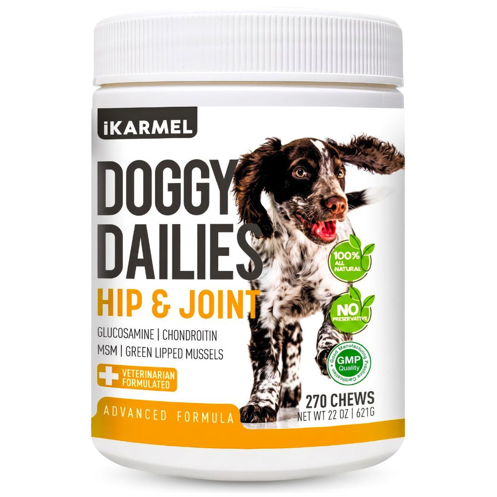 Dog Joint Care & Mobility Chews jar