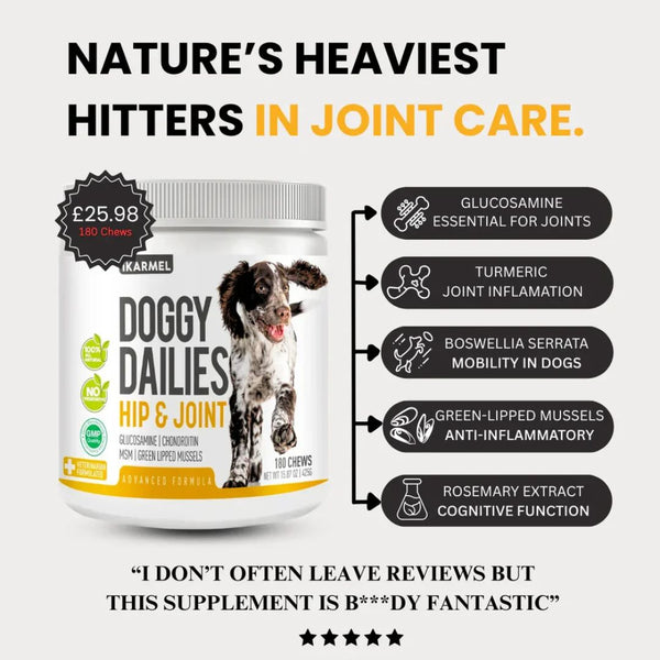 Dog Joint Care & Mobility Chews product detail image