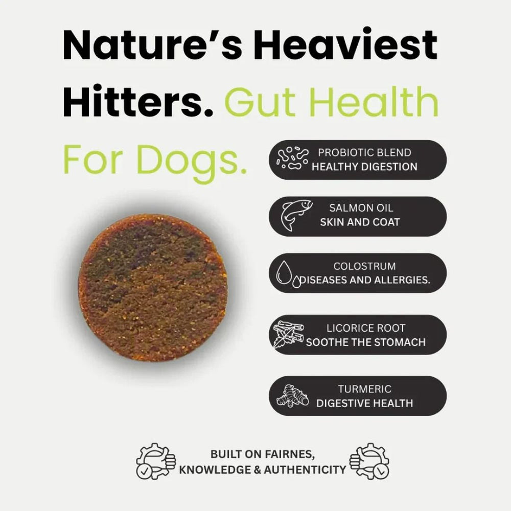Vet-Recommended Dog Probiotic Chews jar