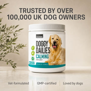 Doggy Dailies Calming Chews jar - trusted by over 100,000 UK dog owners, vet-formulated and GMP-certified