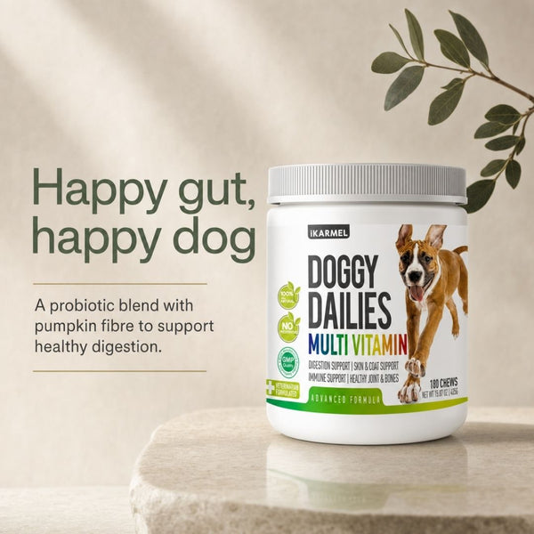 Doggy Dailies Multi Vitamin Chews jar - what's inside: flaxseed and krill oil for omega-3, glucosamine and chondroitin for joints, probiotic blend for digestion, vitamins A, D3, E and B12 for vitality