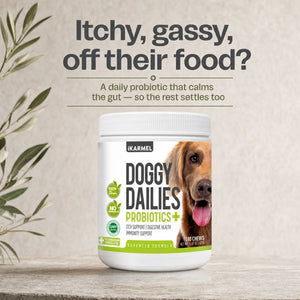 Doggy Dailies Probiotics+ chews jar with the headline "Itchy, gassy, off their food?" - a daily probiotic that calms the gut so the rest settles too