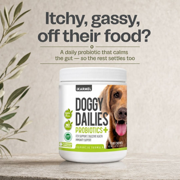 Doggy Dailies Probiotics+ chews jar with the headline "Itchy, gassy, off their food?" - a daily probiotic that calms the gut so the rest settles too