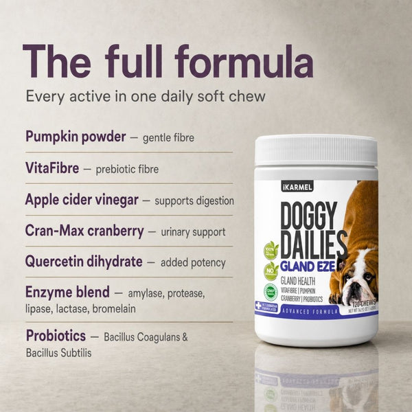 Doggy Dailies Gland Eze anal gland chews jar with the full formula in one daily soft chew: pumpkin powder for gentle fibre, VitaFibre prebiotic fibre, apple cider vinegar for digestion, Cran-Max cranberry for urinary support, quercetin dihydrate, an enzyme blend of amylase, protease, lipase, lactase and bromelain, plus Bacillus coagulans and Bacillus subtilis probiotics