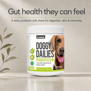 Doggy Dailies Probiotics+ chews jar with the headline "Gut health they can feel" - a daily probiotic soft chew for digestion, skin and immunity, 180 chews