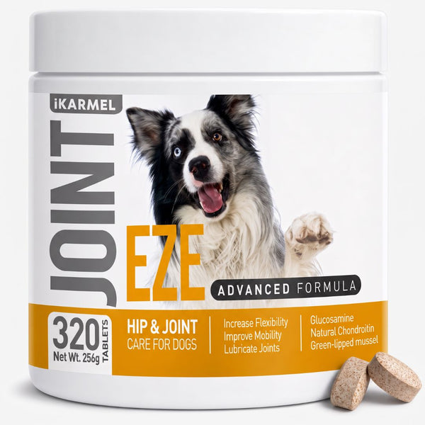 iKARMEL JOINT-EZE Hip & Joint Tablets product detail image