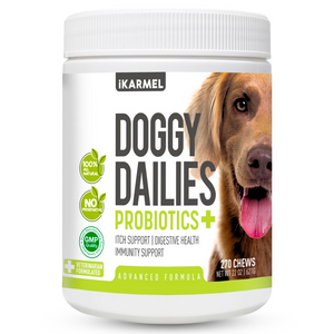 Probiotics for Dogs