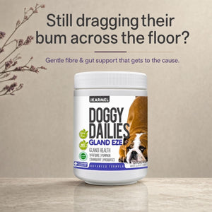 Doggy Dailies Gland Eze anal gland chews jar with the headline "Still dragging their bum across the floor?" - gentle fibre and gut support that gets to the cause