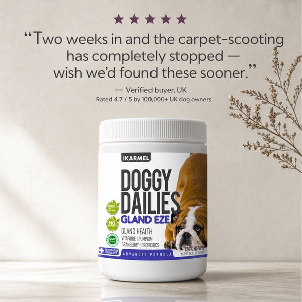 Doggy Dailies Gland Eze anal gland chews jar with a 5-star verified UK buyer review - "Two weeks in and the carpet-scooting has completely stopped" - rated 4.7 out of 5 by over 100,000 UK dog owners