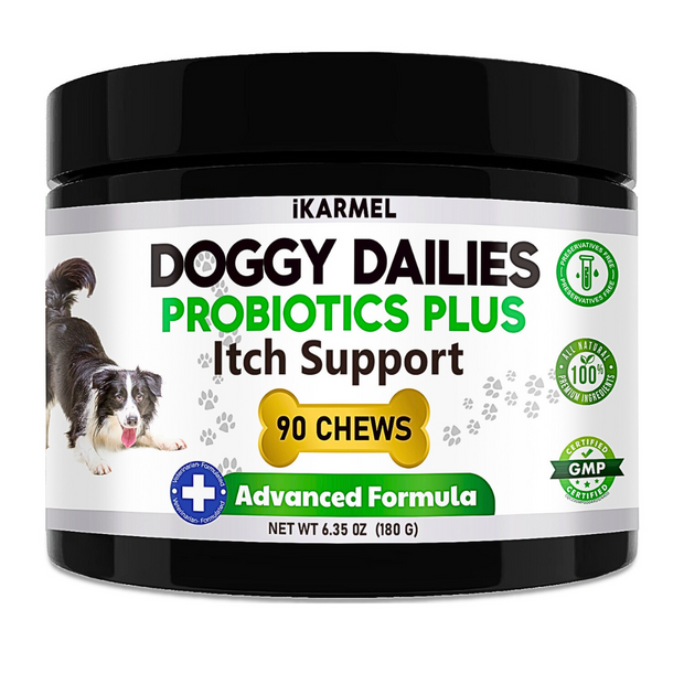 Best probiotic hotsell chews for dogs