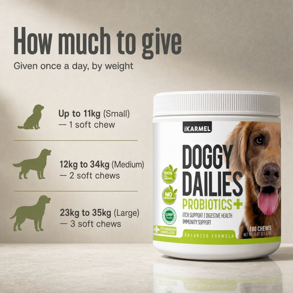 Doggy Dailies Probiotics+ chews jar with a daily usage chart by dog weight - one soft chew for small dogs, two for medium dogs and three for large dogs, given once a day