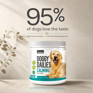 Doggy Dailies Calming Chews jar with "95% of dogs love the taste" - made for fussy eaters