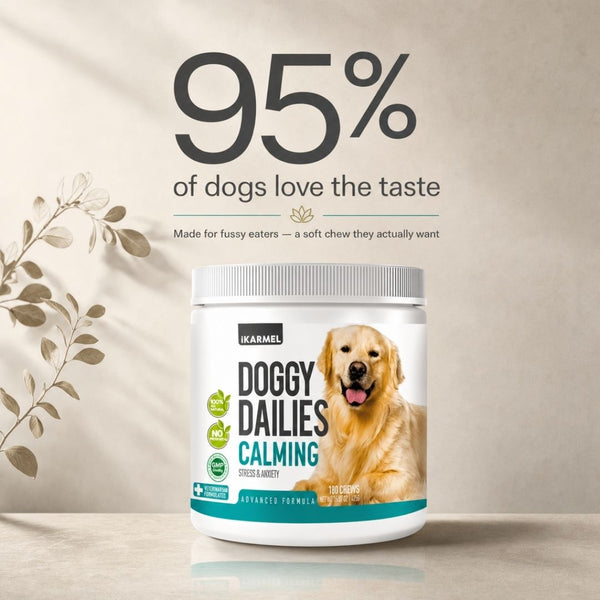 Doggy Dailies Calming Chews jar with "95% of dogs love the taste" - made for fussy eaters