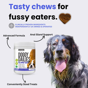 Nature_s_Heaviest_Hitters._Gland_Health_For_Dogs. - iKarmel