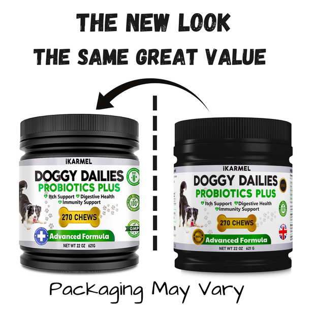 Doggie dailies clearance probiotics for dogs