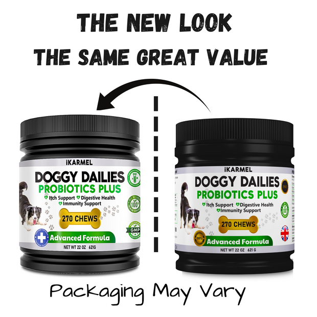 Doggie dailies probiotics clearance for dogs