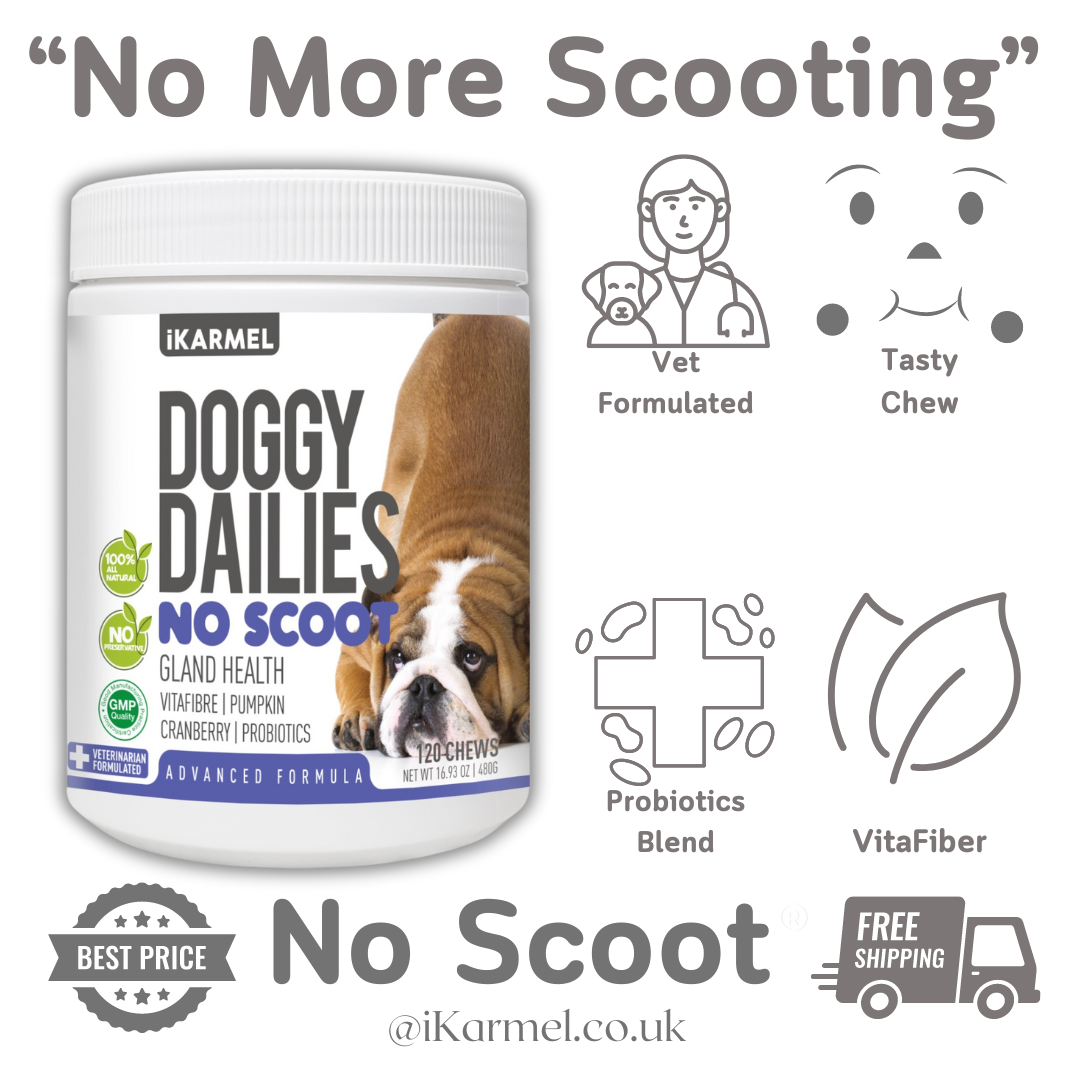 Best dog food to prevent scooting clearance