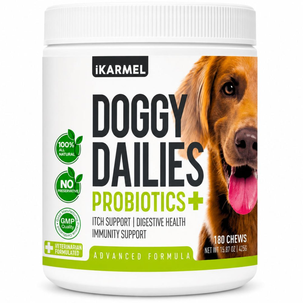 Vet-Recommended Dog Probiotic Chews jar