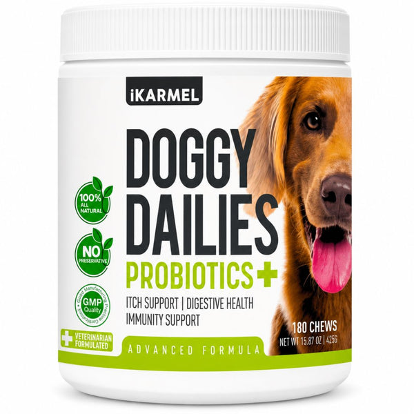 Vet-Recommended Dog Probiotic Chews jar
