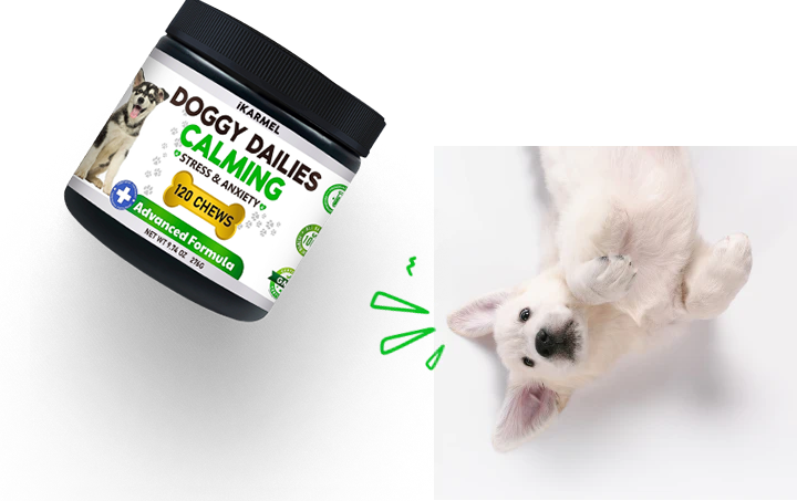 Doggy doggy vitamins hotsell