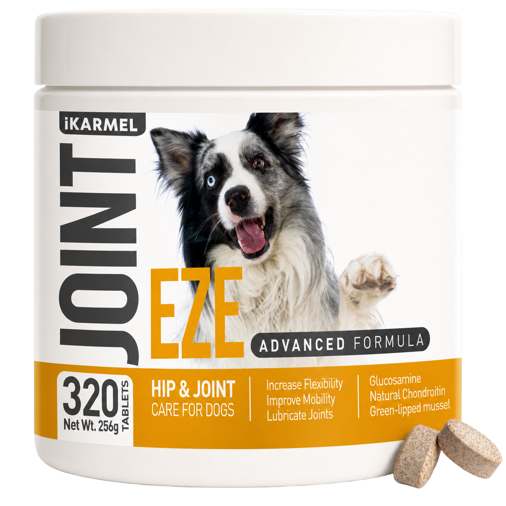 iKARMEL JOINT-EZE 320 tablets - background removed