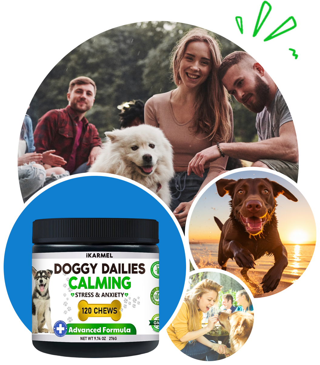 Dog Calming Treats Stress Relief for Dogs iKarmel UK
