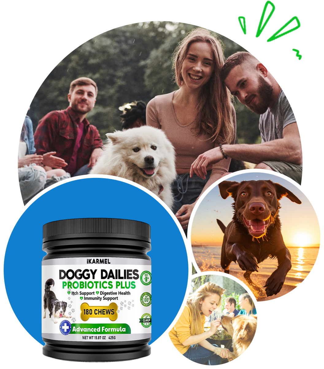 Doggie dailies 2024 probiotics for dogs